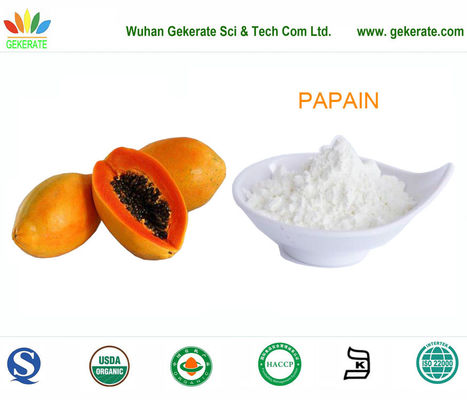 Protéase superbe de pureté de papaïne purifiée du fruit de papaye, enzymes de nourriture